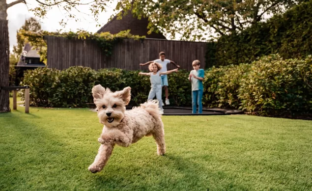 LimeGreen - 028 - DC1_7236